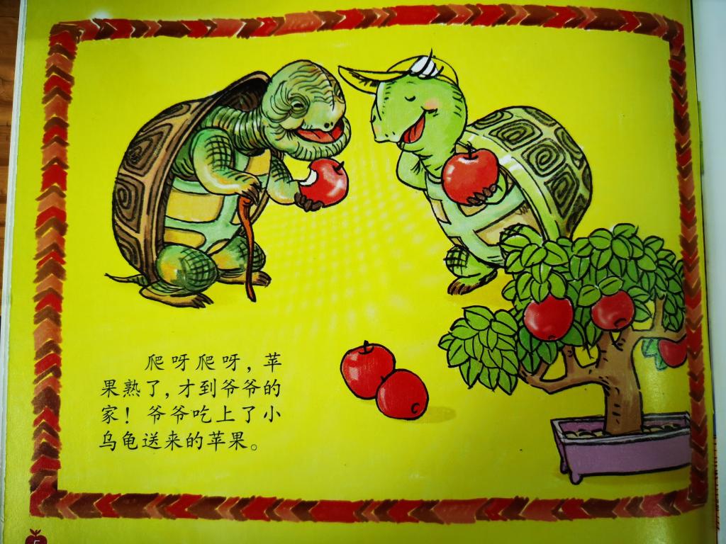 主题分享故事小乌龟看爷爷